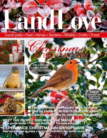 LandLove Magazine Preview