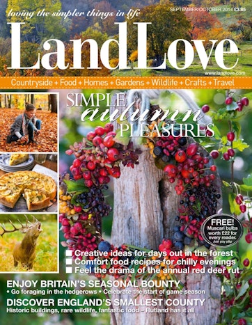 LandLove Magazine Preview