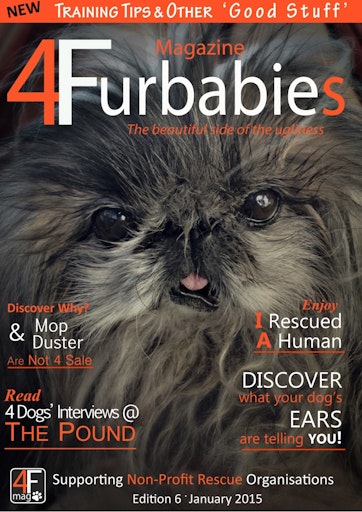 Mag 4 Furbabies Preview