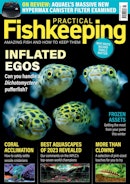 Practical Fishkeeping Complete Your Collection Cover 3