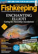 Practical Fishkeeping Complete Your Collection Cover 1