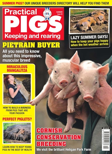 Practical Pigs Preview