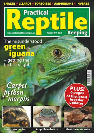 Practical Reptile Keeping Preview