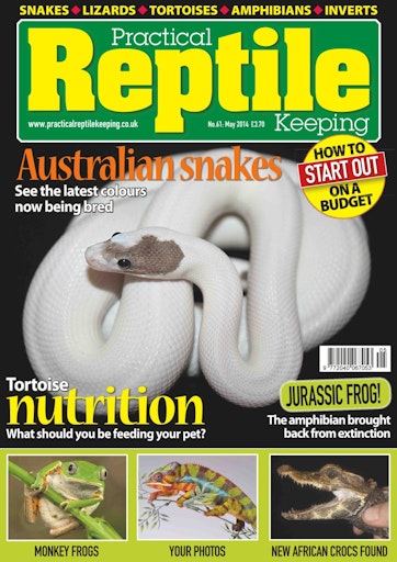 Practical Reptile Keeping Preview