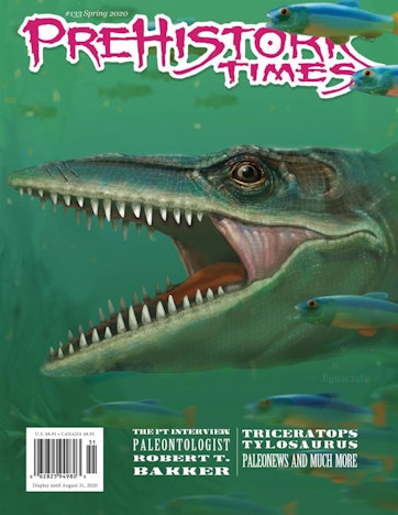 Prehistoric Times Preview