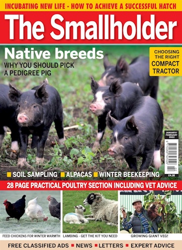 The Smallholder Preview