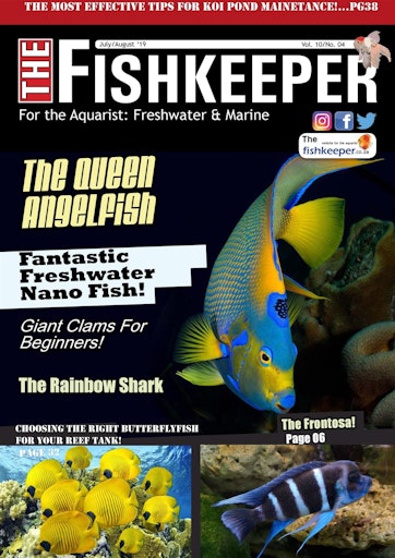 The Fishkeeper Preview