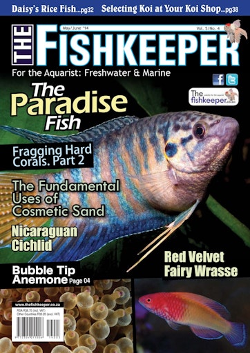 The Fishkeeper Preview