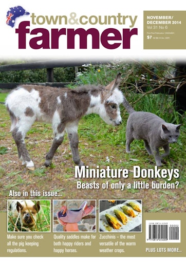 Town And Country Farmer Preview