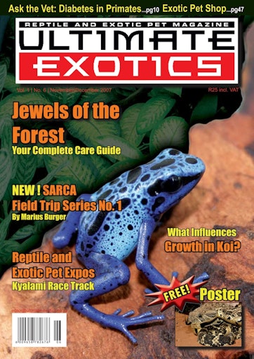 Ultimate Exotics Preview