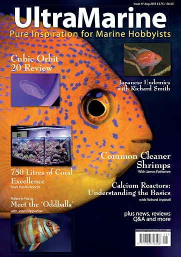 UltraMarine Magazine Preview