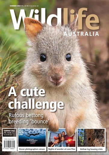Wildlife Australia Preview