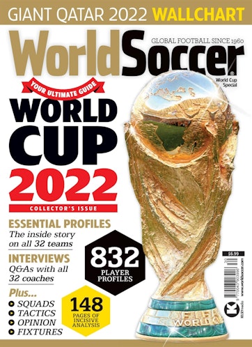 Back of the Net: 2022 World Cup