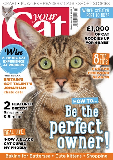 Your Cat Magazine - Your Cat Magazine FREE SAMPLE ISSUE Back Issue