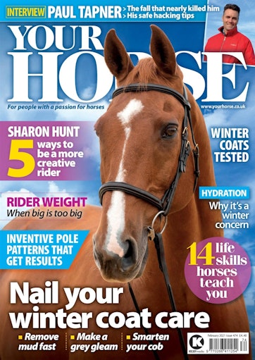 Your Horse Preview