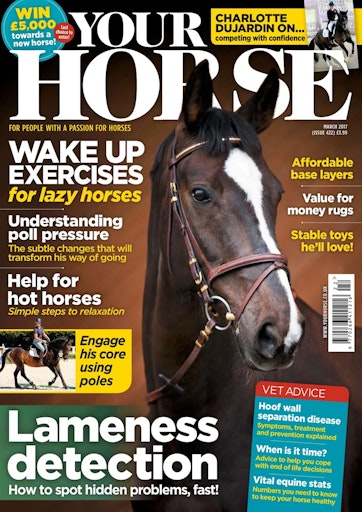 Your Horse Preview
